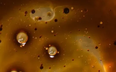 Hydraulic Oil Contamination: Causes, Effects & Removal Methods